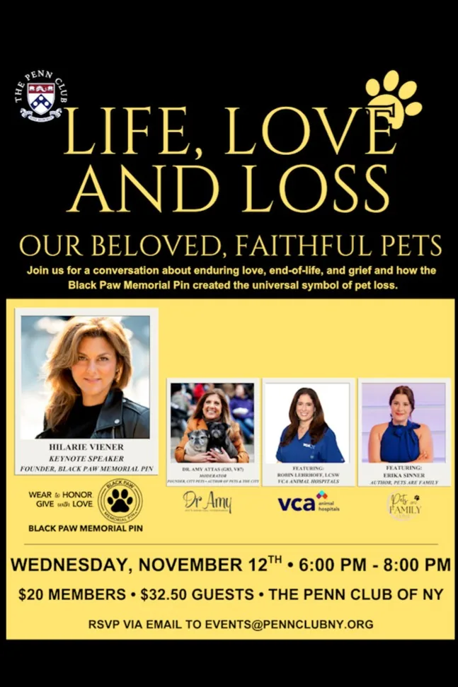 Life, Love and Loss