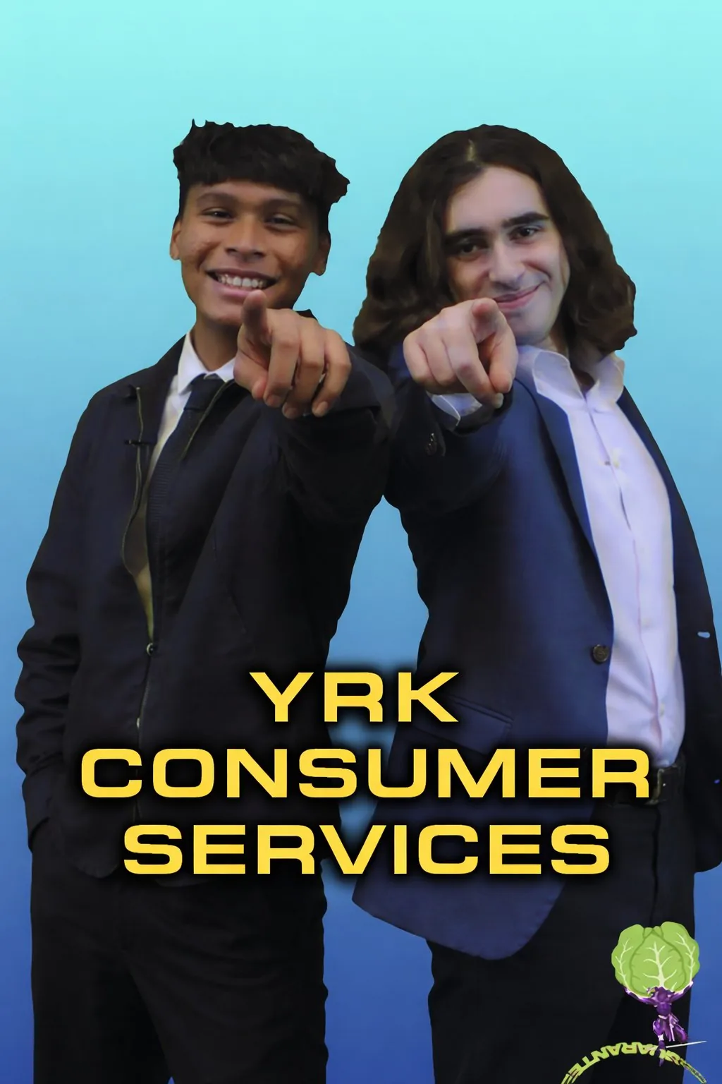 YRK Consumer Services